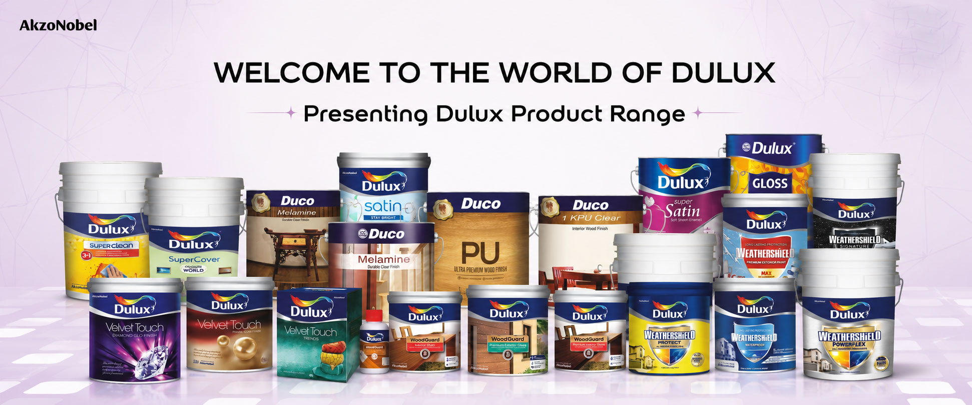 Dulux India Banner 12